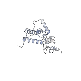11100_6z6n_SJ_v1-0
Cryo-EM structure of human EBP1-80S ribosomes (focus on EBP1)