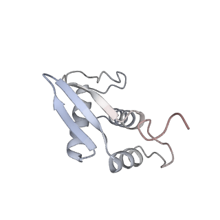 11100_6z6n_SK_v1-0
Cryo-EM structure of human EBP1-80S ribosomes (focus on EBP1)