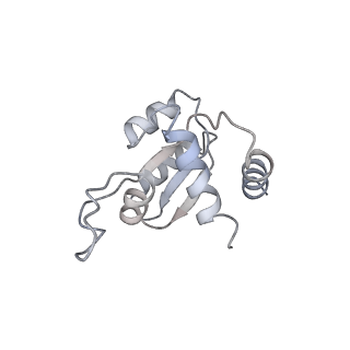 11100_6z6n_SM_v1-0
Cryo-EM structure of human EBP1-80S ribosomes (focus on EBP1)