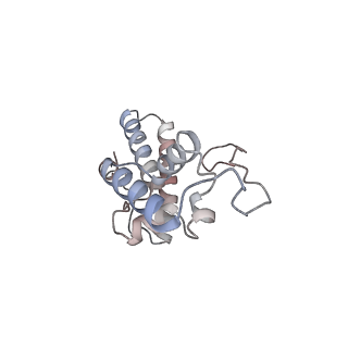 11100_6z6n_SN_v1-0
Cryo-EM structure of human EBP1-80S ribosomes (focus on EBP1)