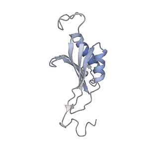 11100_6z6n_SO_v1-0
Cryo-EM structure of human EBP1-80S ribosomes (focus on EBP1)