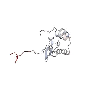 11100_6z6n_SP_v1-0
Cryo-EM structure of human EBP1-80S ribosomes (focus on EBP1)
