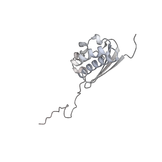 11100_6z6n_SQ_v1-0
Cryo-EM structure of human EBP1-80S ribosomes (focus on EBP1)