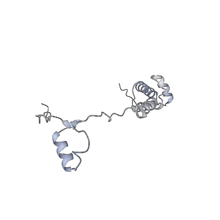 11100_6z6n_SR_v1-0
Cryo-EM structure of human EBP1-80S ribosomes (focus on EBP1)