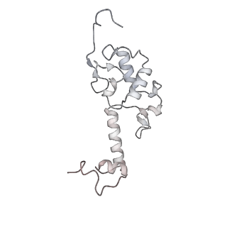 11100_6z6n_SS_v1-0
Cryo-EM structure of human EBP1-80S ribosomes (focus on EBP1)