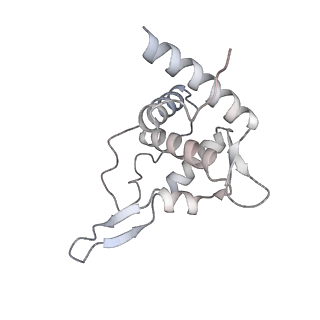 11100_6z6n_ST_v1-0
Cryo-EM structure of human EBP1-80S ribosomes (focus on EBP1)