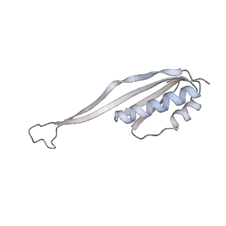 11100_6z6n_SU_v1-0
Cryo-EM structure of human EBP1-80S ribosomes (focus on EBP1)
