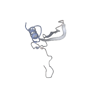 11100_6z6n_SV_v1-0
Cryo-EM structure of human EBP1-80S ribosomes (focus on EBP1)