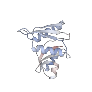 11100_6z6n_SW_v1-0
Cryo-EM structure of human EBP1-80S ribosomes (focus on EBP1)