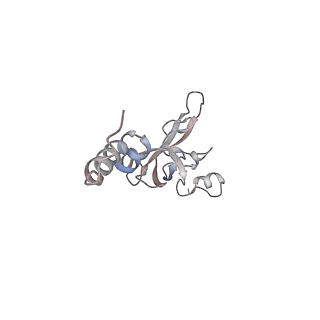 11100_6z6n_SX_v1-0
Cryo-EM structure of human EBP1-80S ribosomes (focus on EBP1)