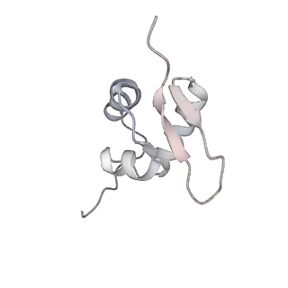 11100_6z6n_SZ_v1-0
Cryo-EM structure of human EBP1-80S ribosomes (focus on EBP1)