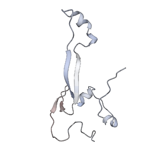 11100_6z6n_Sa_v1-0
Cryo-EM structure of human EBP1-80S ribosomes (focus on EBP1)