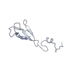11100_6z6n_Sb_v1-0
Cryo-EM structure of human EBP1-80S ribosomes (focus on EBP1)