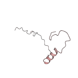 11100_6z6n_Se_v1-0
Cryo-EM structure of human EBP1-80S ribosomes (focus on EBP1)