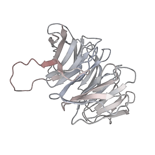 11100_6z6n_Sg_v1-0
Cryo-EM structure of human EBP1-80S ribosomes (focus on EBP1)