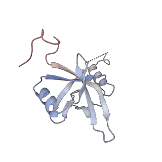 14528_7z6q_D_v1-0
Cryo-EM structure of the whole photosynthetic complex from the green sulfur bacteria