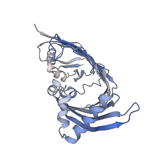 14528_7z6q_F_v1-0
Cryo-EM structure of the whole photosynthetic complex from the green sulfur bacteria