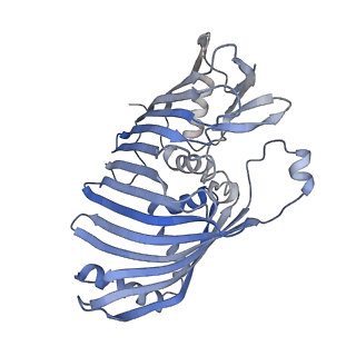 14528_7z6q_G_v1-0
Cryo-EM structure of the whole photosynthetic complex from the green sulfur bacteria