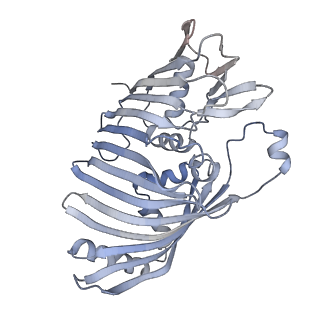 14528_7z6q_J_v1-0
Cryo-EM structure of the whole photosynthetic complex from the green sulfur bacteria