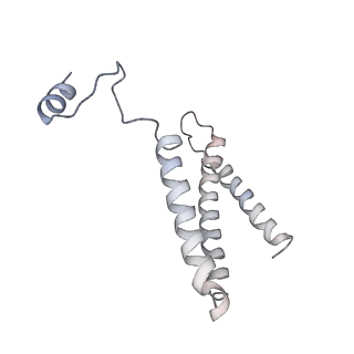 14528_7z6q_c_v1-0
Cryo-EM structure of the whole photosynthetic complex from the green sulfur bacteria