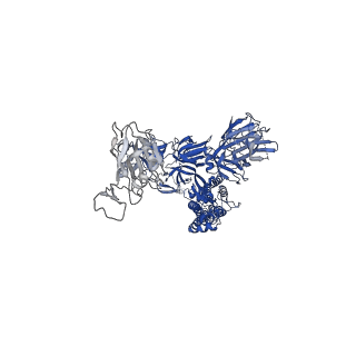 14531_7z6v_A_v1-1
CRYO-EM STRUCTURE OF SARS-COV-2 SPIKE : H11 nanobody complex