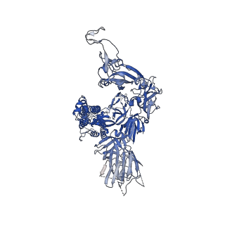 14531_7z6v_B_v1-1
CRYO-EM STRUCTURE OF SARS-COV-2 SPIKE : H11 nanobody complex