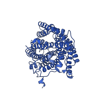 6896_5z62_A_v1-0
Structure of human cytochrome c oxidase