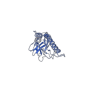 6896_5z62_B_v1-0
Structure of human cytochrome c oxidase
