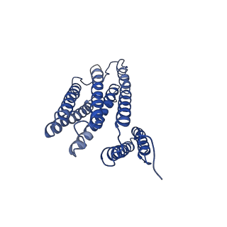 6896_5z62_C_v1-0
Structure of human cytochrome c oxidase