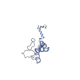 6896_5z62_D_v1-0
Structure of human cytochrome c oxidase