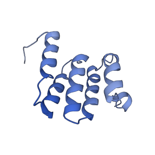 6896_5z62_E_v1-0
Structure of human cytochrome c oxidase
