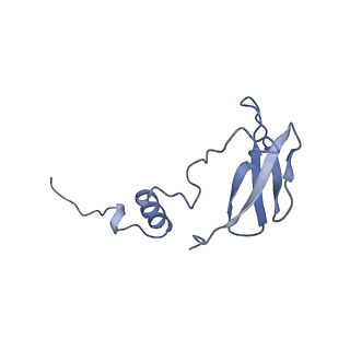 6896_5z62_F_v1-0
Structure of human cytochrome c oxidase