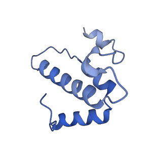 6896_5z62_H_v1-0
Structure of human cytochrome c oxidase