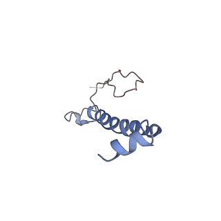 6896_5z62_N_v1-0
Structure of human cytochrome c oxidase