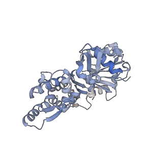 14532_7z7h_A_v1-1
Structure of P. luminescens TccC3-F-actin complex