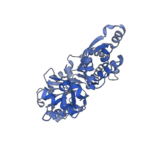 14532_7z7h_B_v1-1
Structure of P. luminescens TccC3-F-actin complex