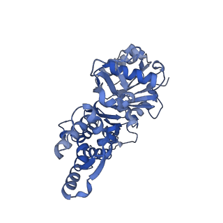 14532_7z7h_C_v1-1
Structure of P. luminescens TccC3-F-actin complex