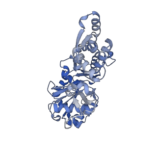 14532_7z7h_D_v1-1
Structure of P. luminescens TccC3-F-actin complex
