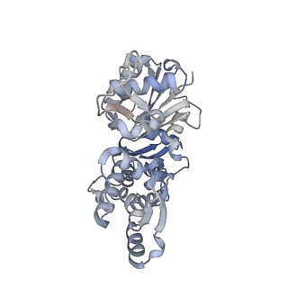14532_7z7h_E_v1-1
Structure of P. luminescens TccC3-F-actin complex