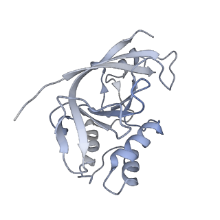 14532_7z7h_F_v1-1
Structure of P. luminescens TccC3-F-actin complex