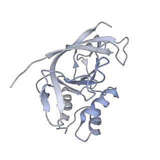 14532_7z7h_F_v2-0
Structure of P. luminescens TccC3-F-actin complex