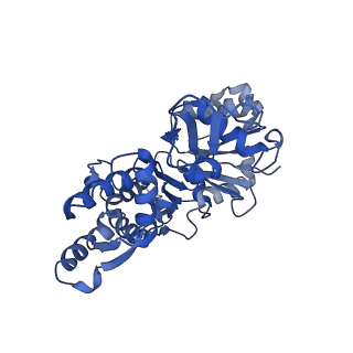 14533_7z7i_A_v1-1
Structure of ADP-ribosylated F-actin