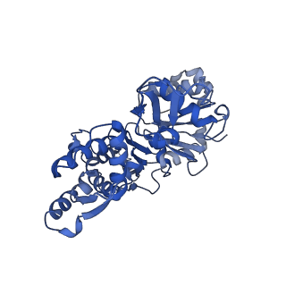14533_7z7i_A_v2-0
Structure of ADP-ribosylated F-actin