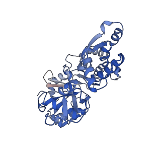 14533_7z7i_B_v1-1
Structure of ADP-ribosylated F-actin