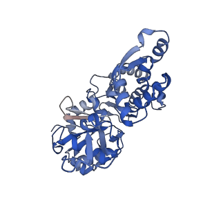 14533_7z7i_B_v2-0
Structure of ADP-ribosylated F-actin