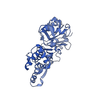 14533_7z7i_C_v1-1
Structure of ADP-ribosylated F-actin