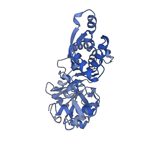 14533_7z7i_D_v1-1
Structure of ADP-ribosylated F-actin