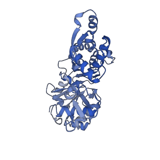 14533_7z7i_D_v2-0
Structure of ADP-ribosylated F-actin