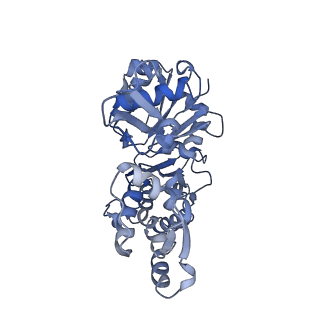 14533_7z7i_E_v1-1
Structure of ADP-ribosylated F-actin