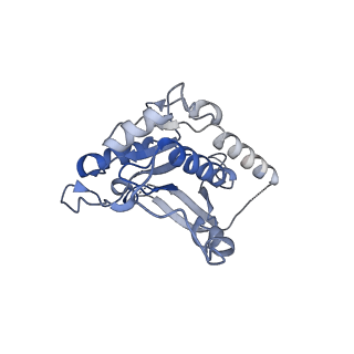 14535_7z7r_B_v1-2
Complex I from E. coli, LMNG-purified, Apo, Open-ready state